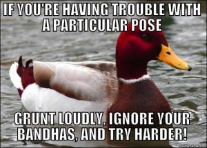 mallicious advice mallard