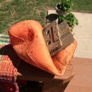 Time Capsule Treasure Hunt
