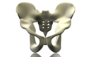 Understanding Hip Joint Adduction: An Approach to PAILS & RAILS