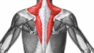 Practical Approaches to Shoulder Range Conditioning